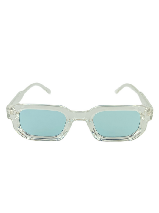 Tortoise - light Blue